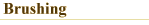 brushing.gif - 1.3 K